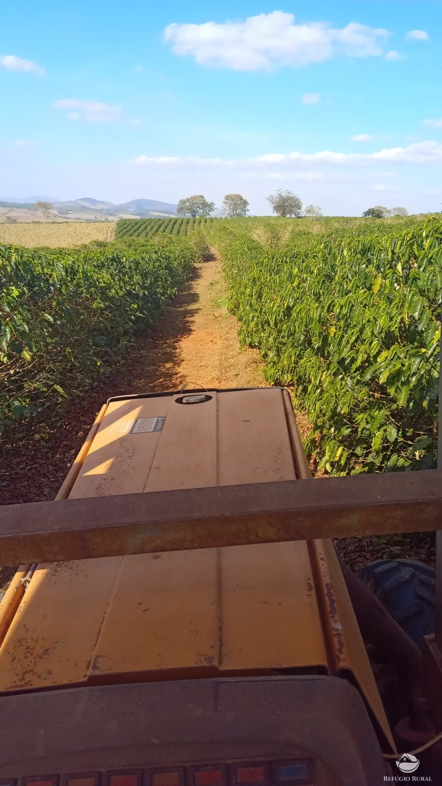 Fazenda à venda com 2 quartos, 774400m² - Foto 34