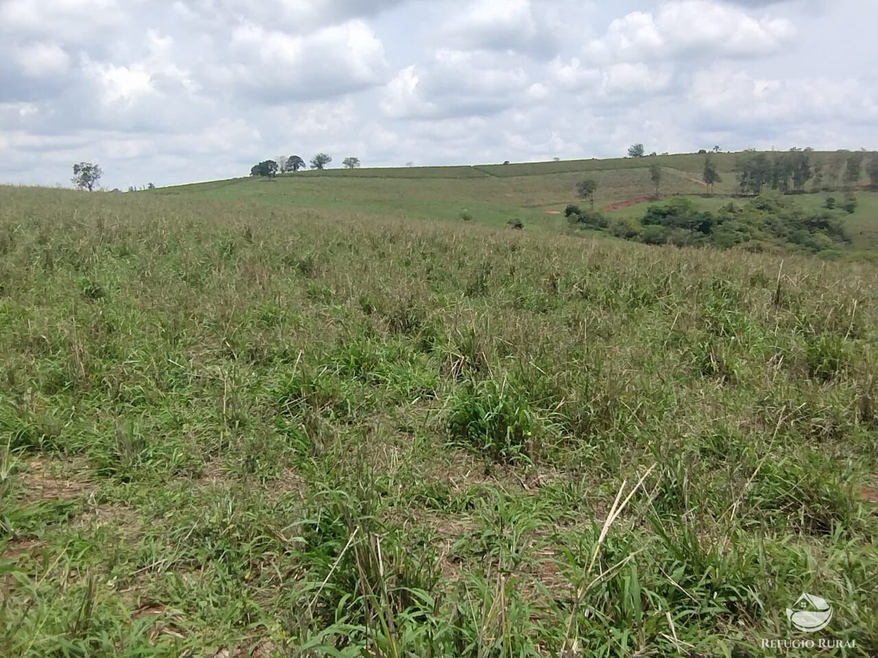 Fazenda à venda com 2 quartos, 774400m² - Foto 10