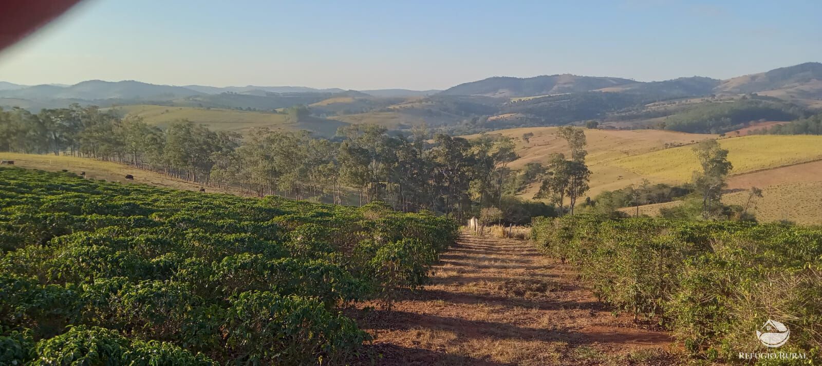 Fazenda à venda com 2 quartos, 774400m² - Foto 3