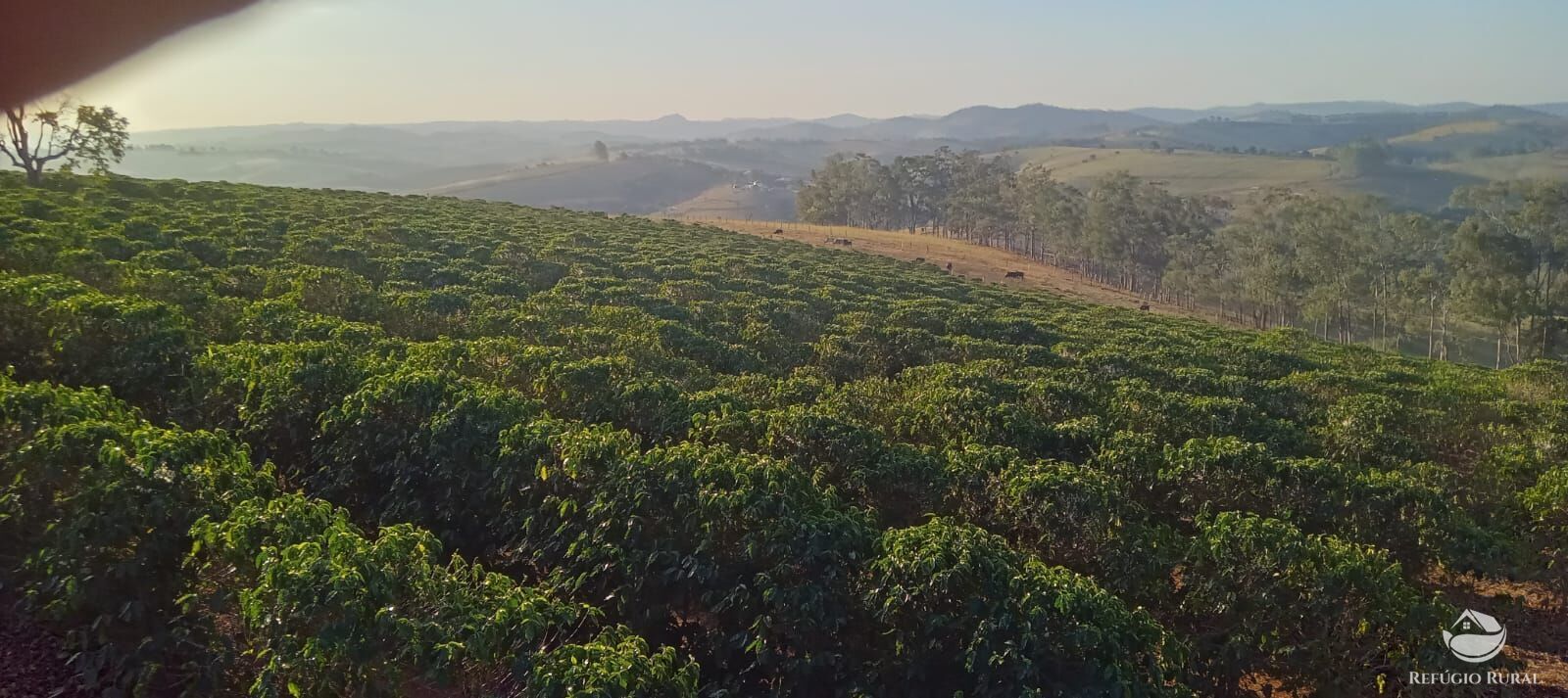 Fazenda à venda com 2 quartos, 774400m² - Foto 33