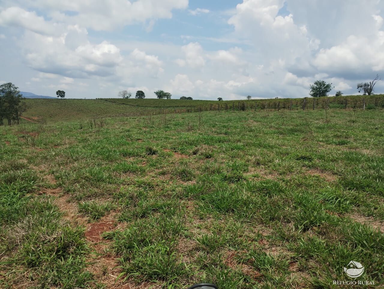 Fazenda à venda com 2 quartos, 774400m² - Foto 15