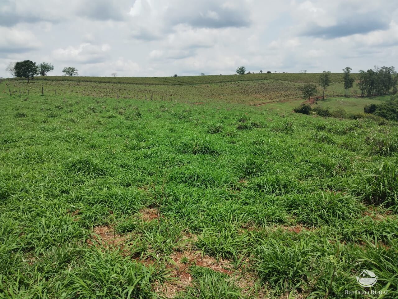 Fazenda à venda com 2 quartos, 774400m² - Foto 11