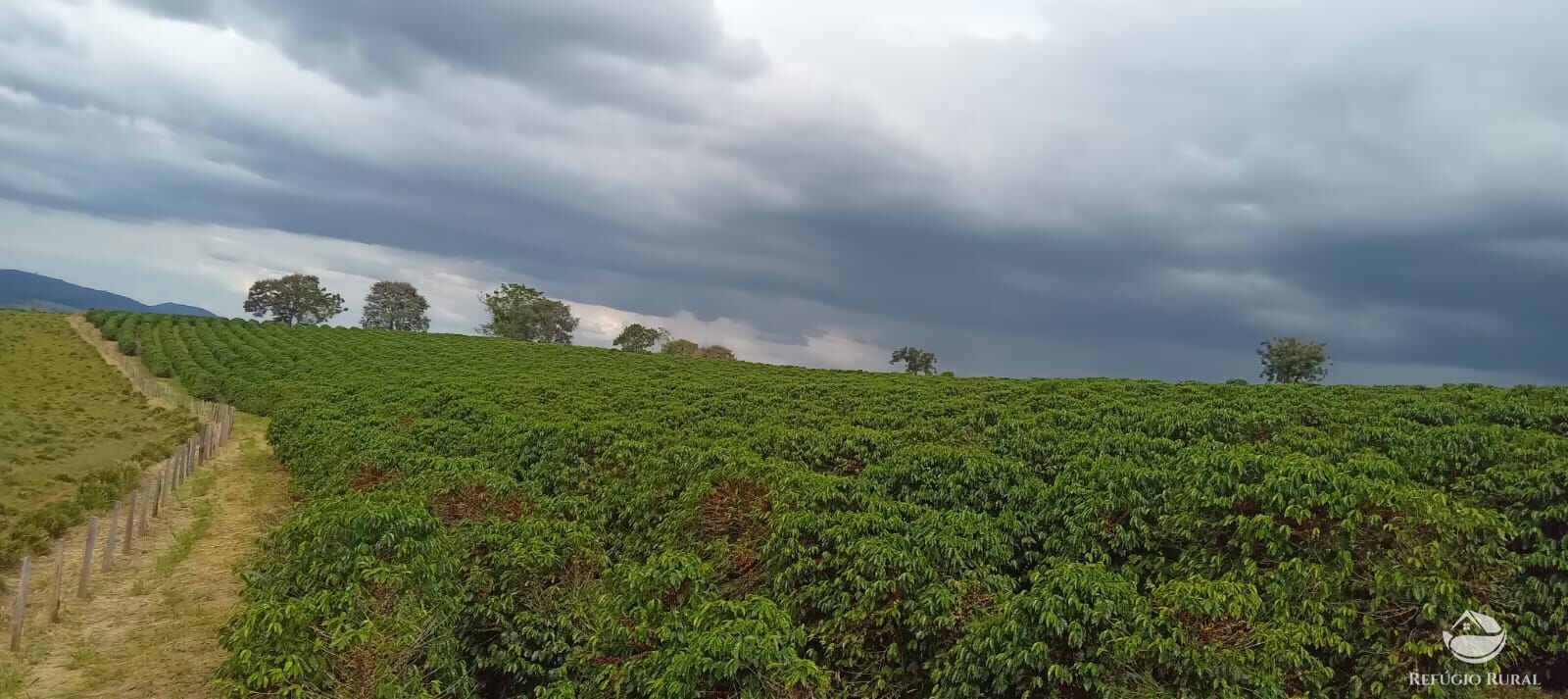 Fazenda à venda com 2 quartos, 774400m² - Foto 30