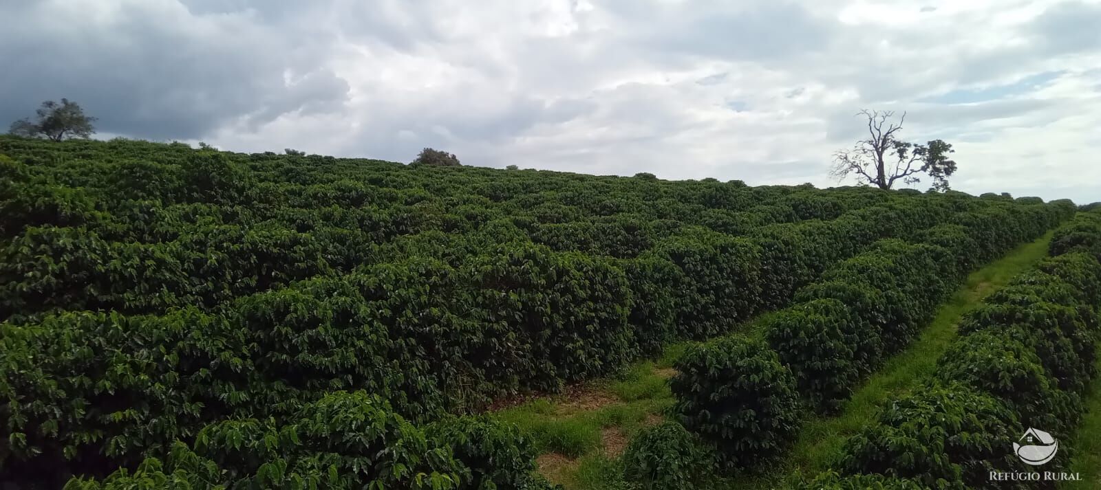 Fazenda à venda com 2 quartos, 774400m² - Foto 31