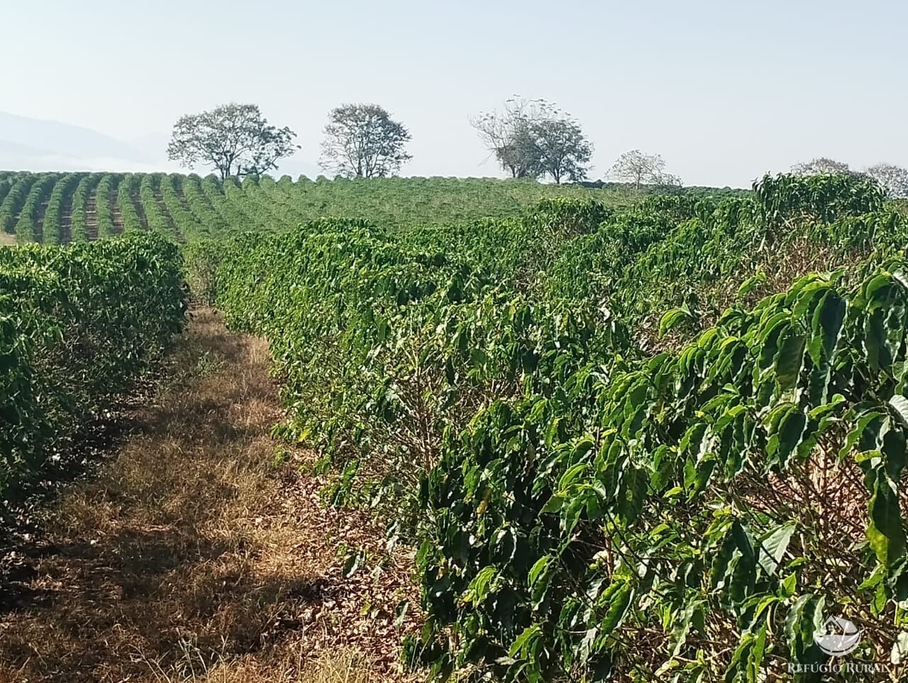 Fazenda à venda com 2 quartos, 774400m² - Foto 20