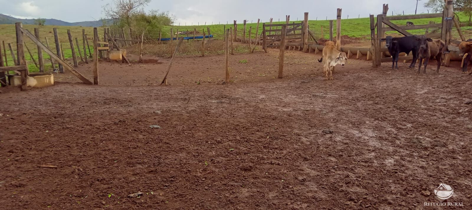 Fazenda à venda com 2 quartos, 774400m² - Foto 40