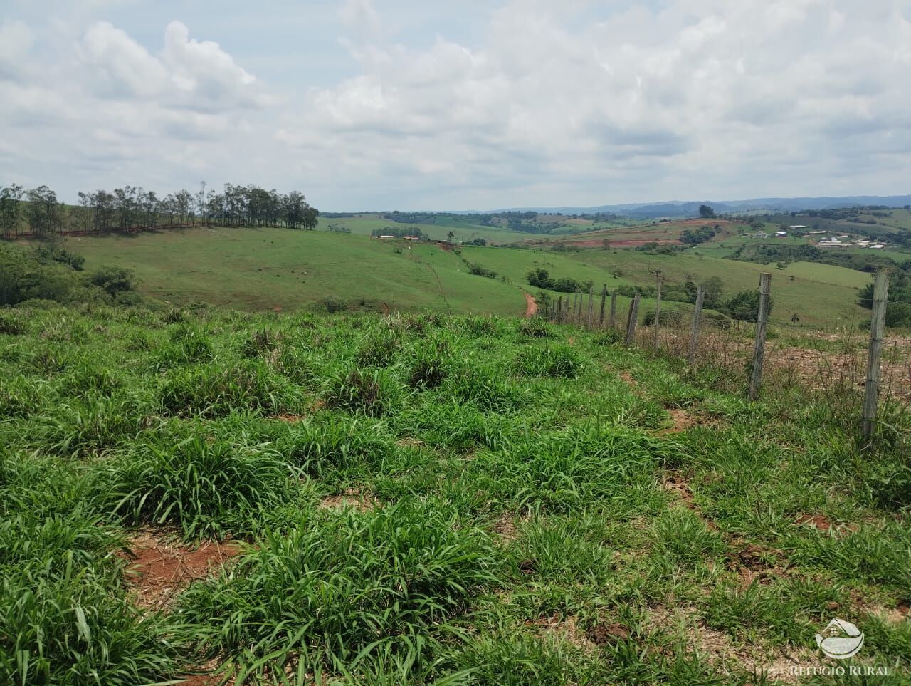 Fazenda à venda com 2 quartos, 774400m² - Foto 7