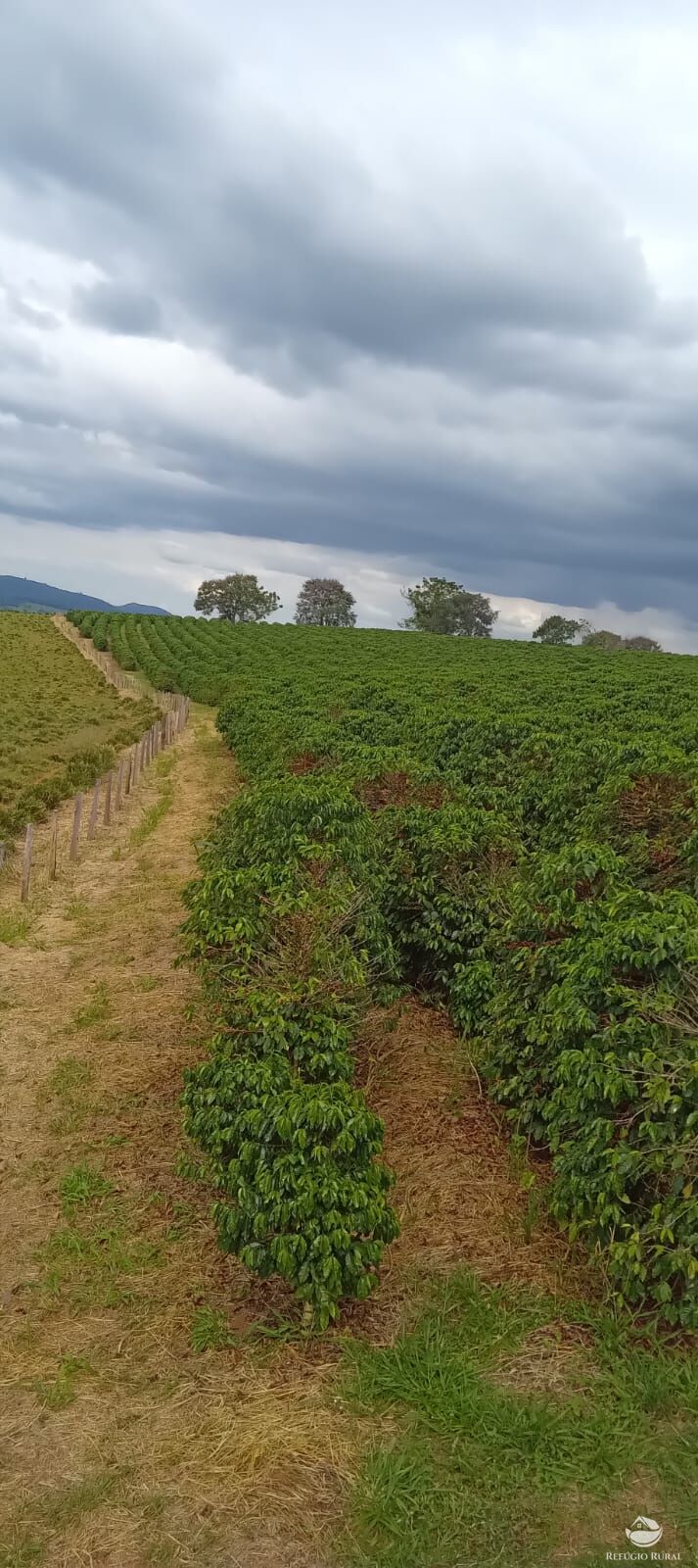 Fazenda à venda com 2 quartos, 774400m² - Foto 29