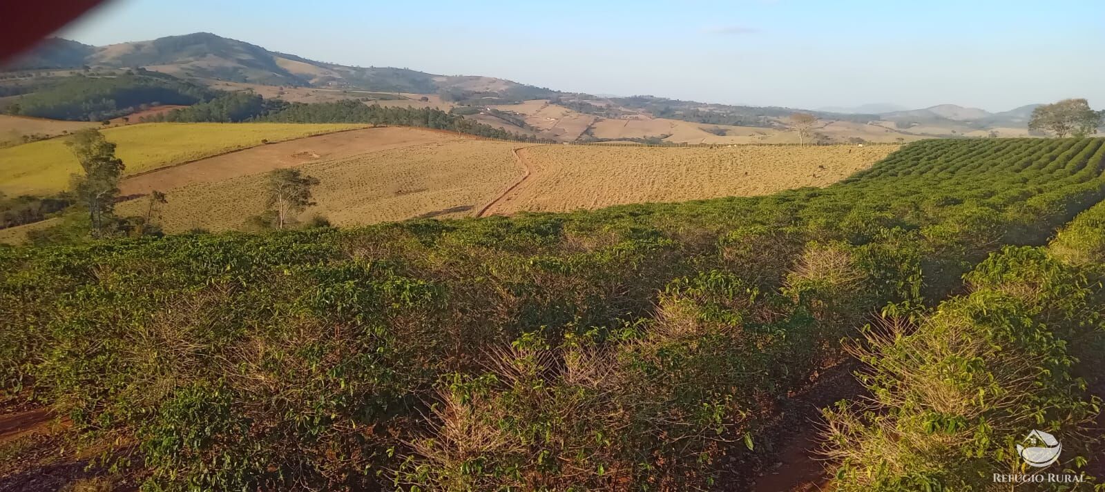 Fazenda à venda com 2 quartos, 774400m² - Foto 2