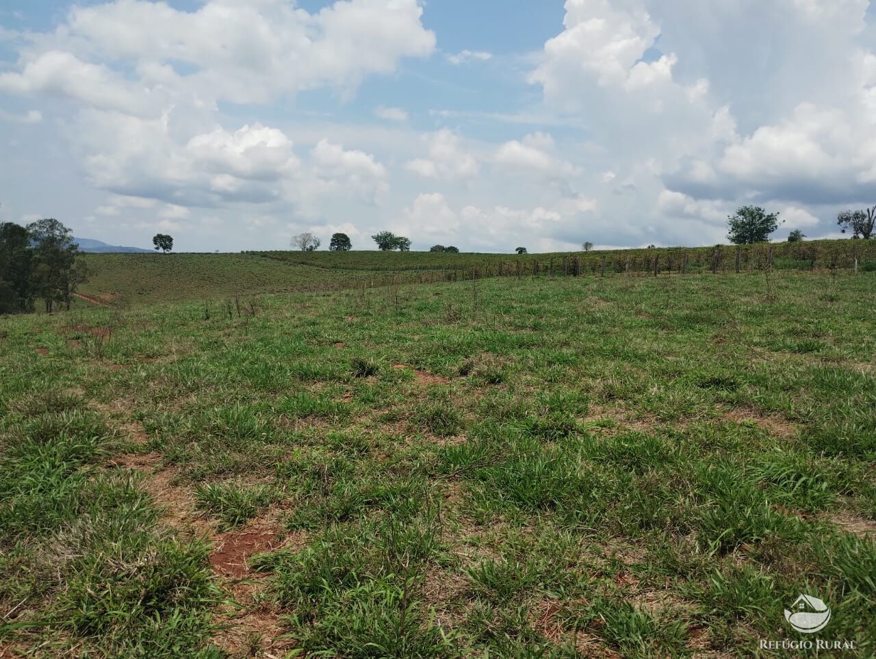 Fazenda à venda com 2 quartos, 774400m² - Foto 13