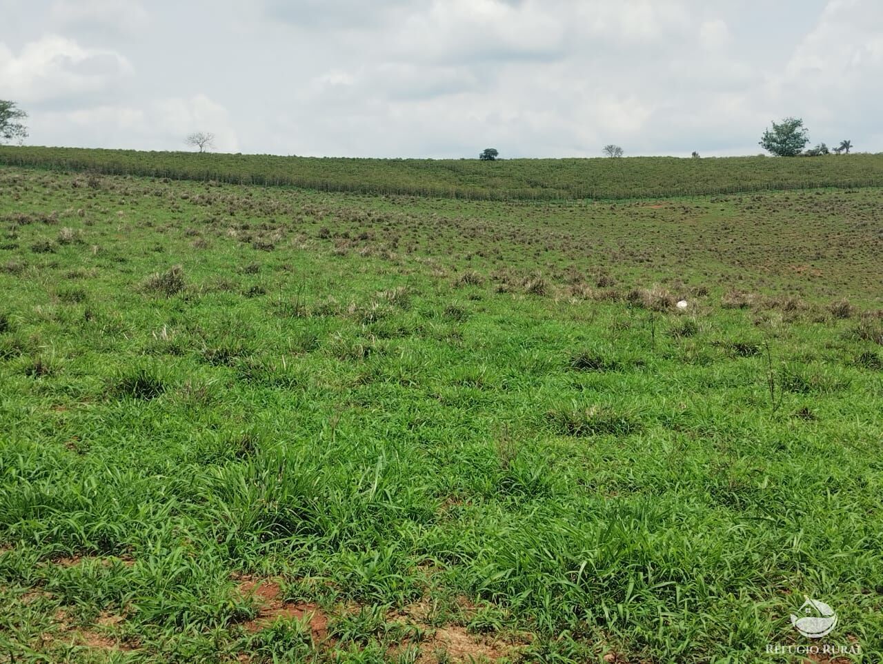 Fazenda à venda com 2 quartos, 774400m² - Foto 12