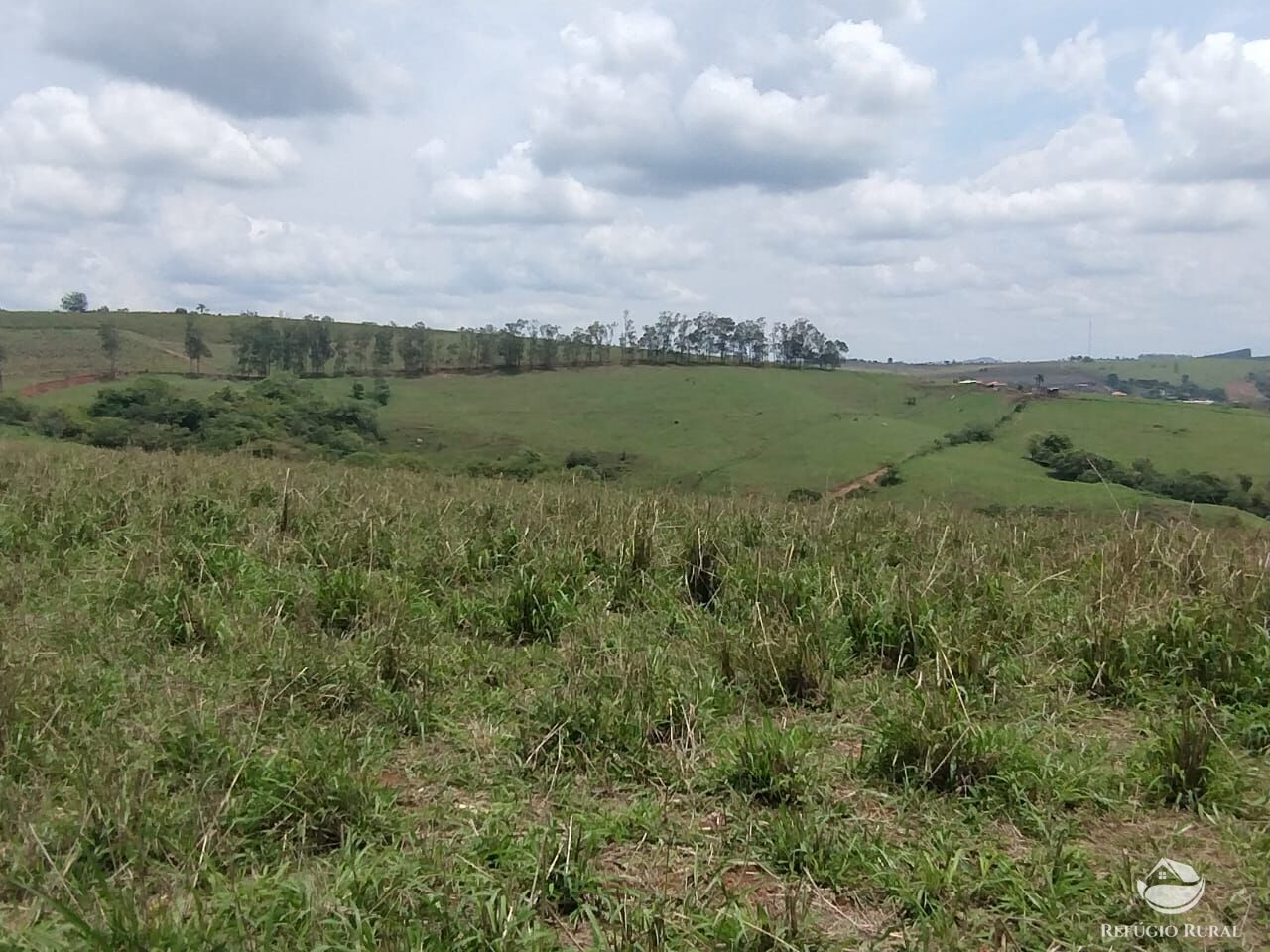 Fazenda à venda com 2 quartos, 774400m² - Foto 9