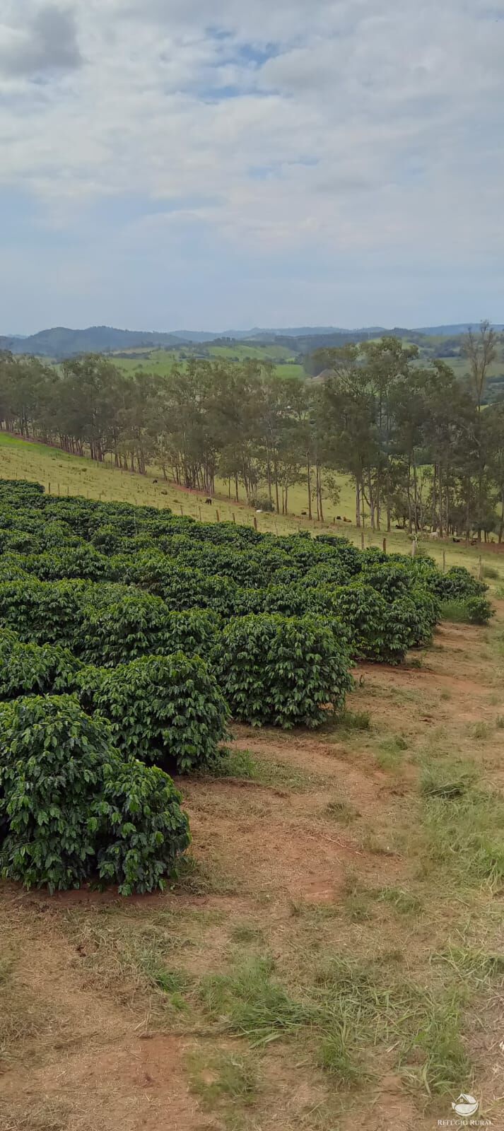 Fazenda à venda com 2 quartos, 774400m² - Foto 27