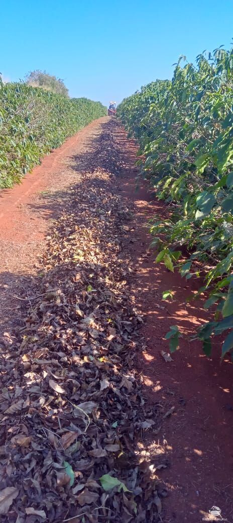 Fazenda à venda com 2 quartos, 774400m² - Foto 38