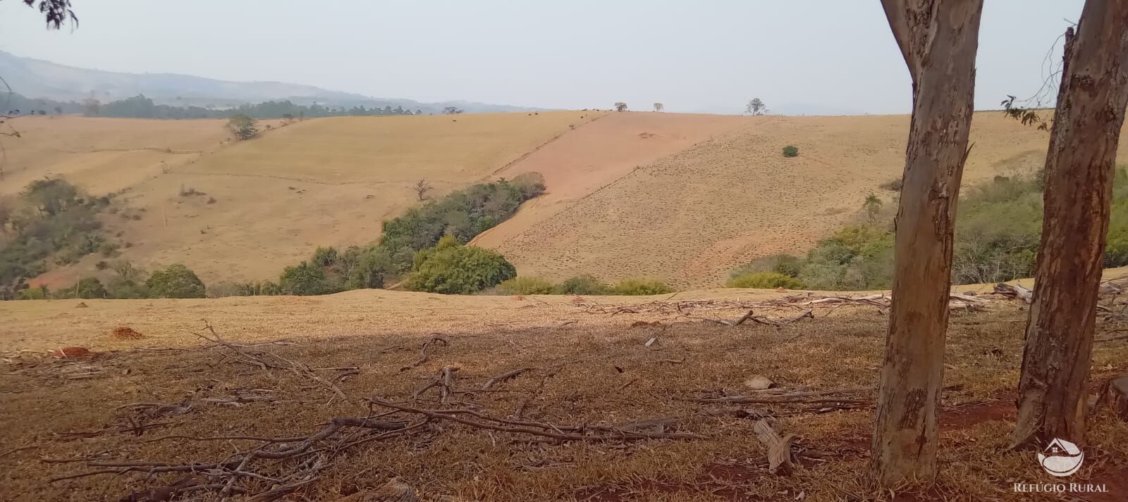 Fazenda à venda com 2 quartos, 774400m² - Foto 21