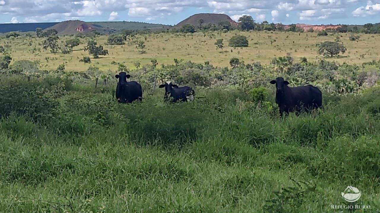 Fazenda à venda com 2 quartos, 32500000m² - Foto 4