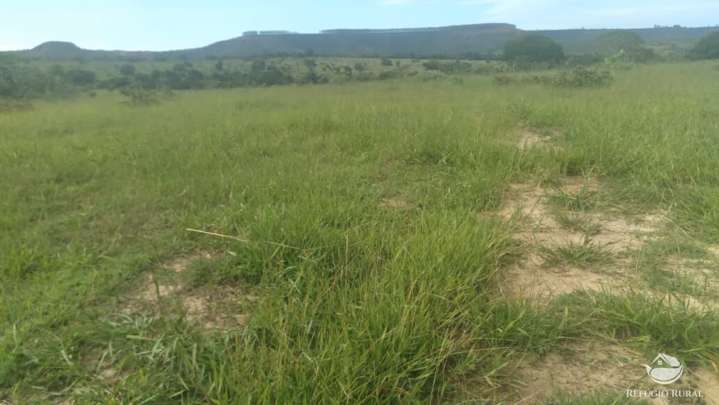 Fazenda à venda com 2 quartos, 32500000m² - Foto 7