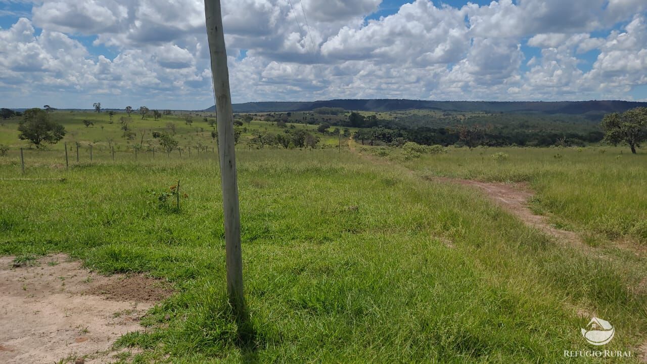Fazenda à venda com 2 quartos, 32500000m² - Foto 42