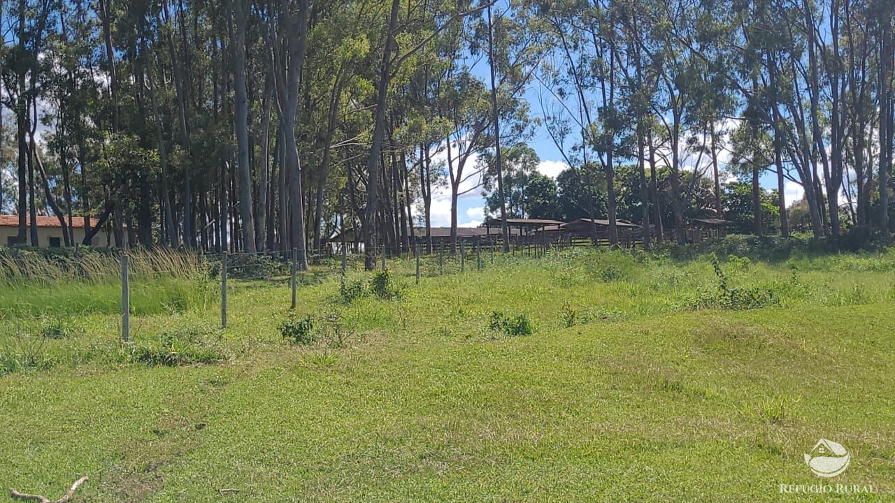 Fazenda à venda com 2 quartos, 32500000m² - Foto 1