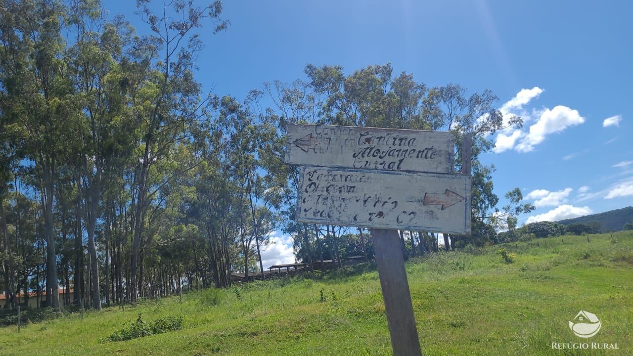 Fazenda à venda com 2 quartos, 32500000m² - Foto 23