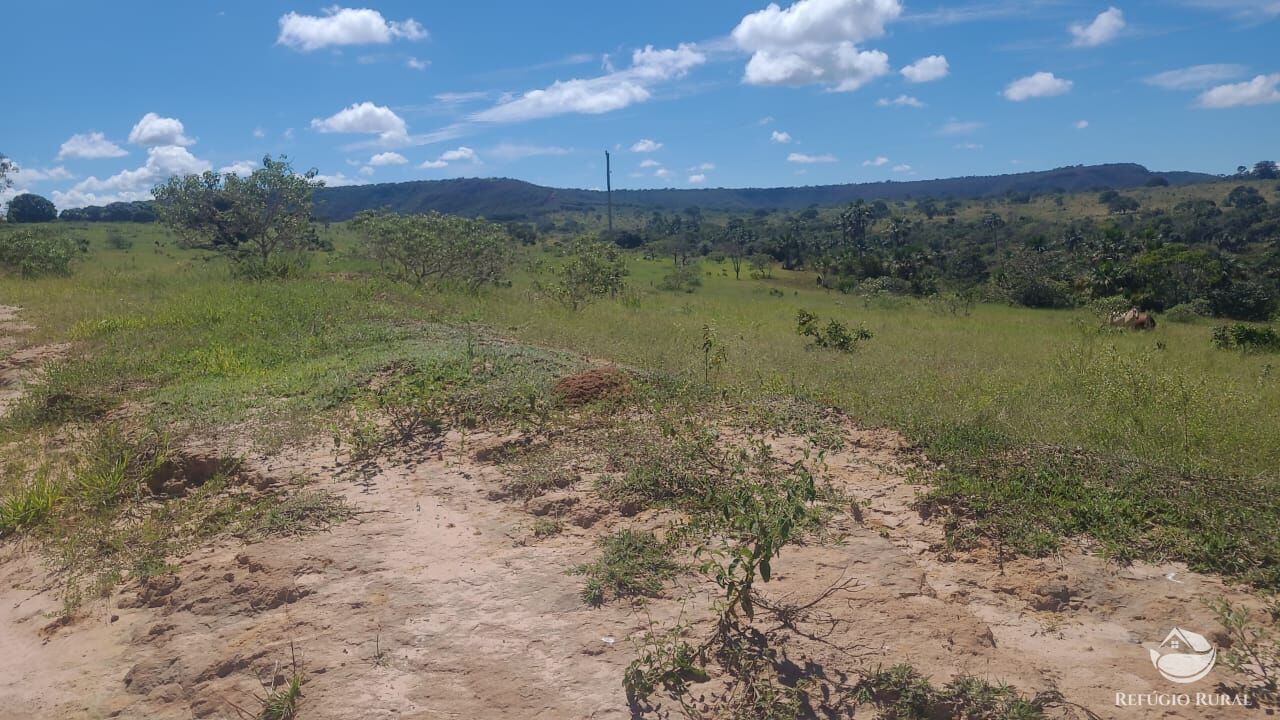Fazenda à venda com 2 quartos, 32500000m² - Foto 20