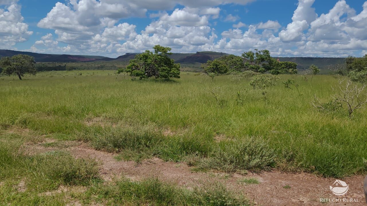 Fazenda à venda com 2 quartos, 32500000m² - Foto 41