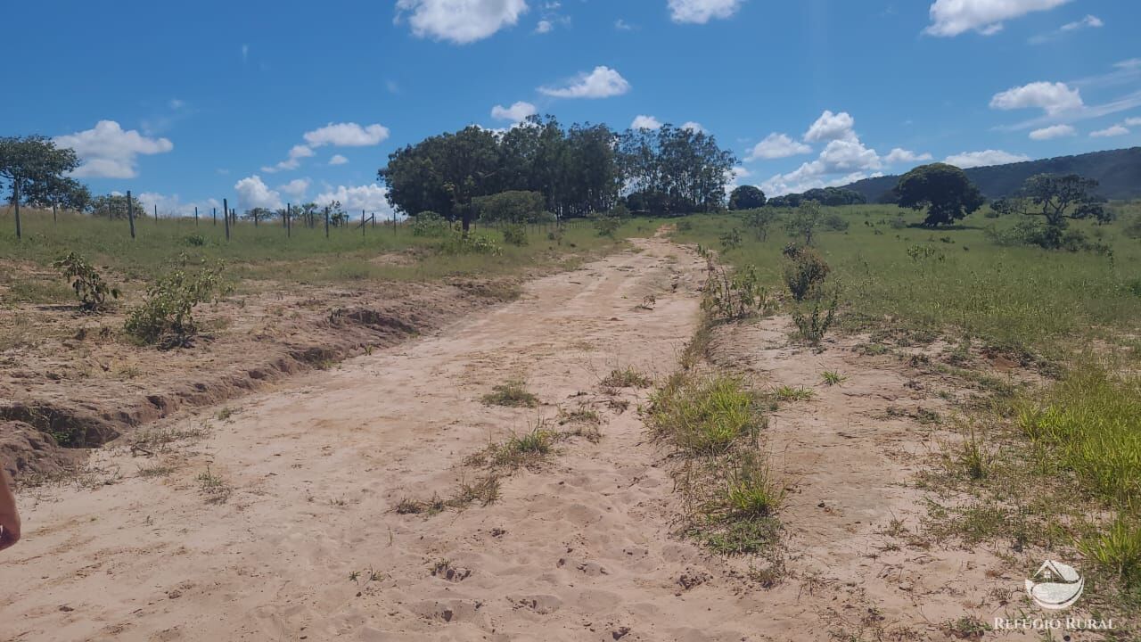 Fazenda à venda com 2 quartos, 32500000m² - Foto 21