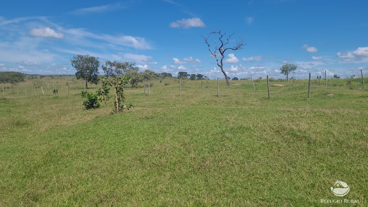 Fazenda à venda com 2 quartos, 32500000m² - Foto 27