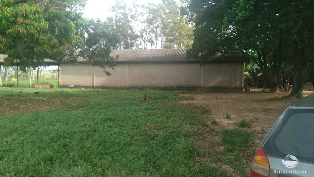 Fazenda à venda com 2 quartos, 32500000m² - Foto 12