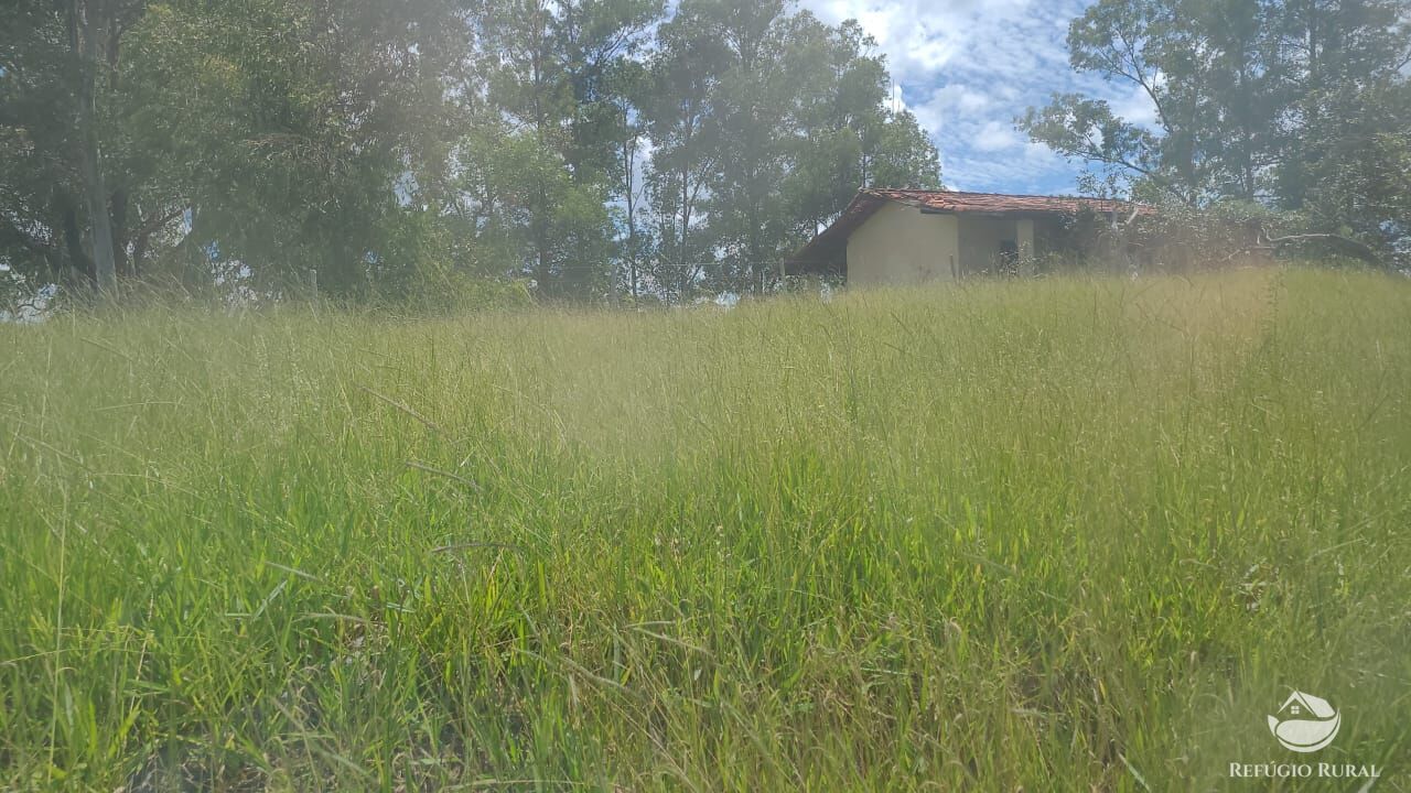 Fazenda à venda com 2 quartos, 32500000m² - Foto 40