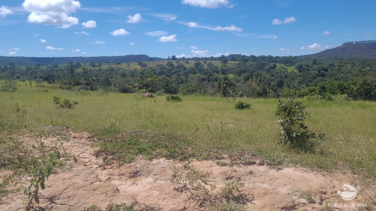 Fazenda à venda com 2 quartos, 32500000m² - Foto 5