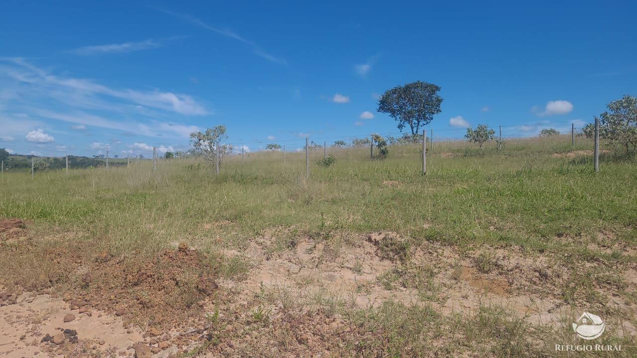 Fazenda à venda com 2 quartos, 32500000m² - Foto 18