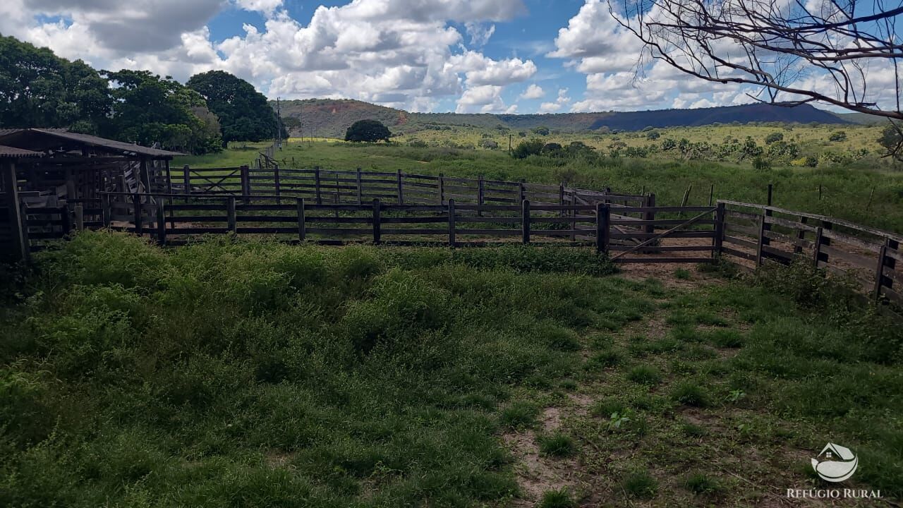 Fazenda à venda com 2 quartos, 32500000m² - Foto 37