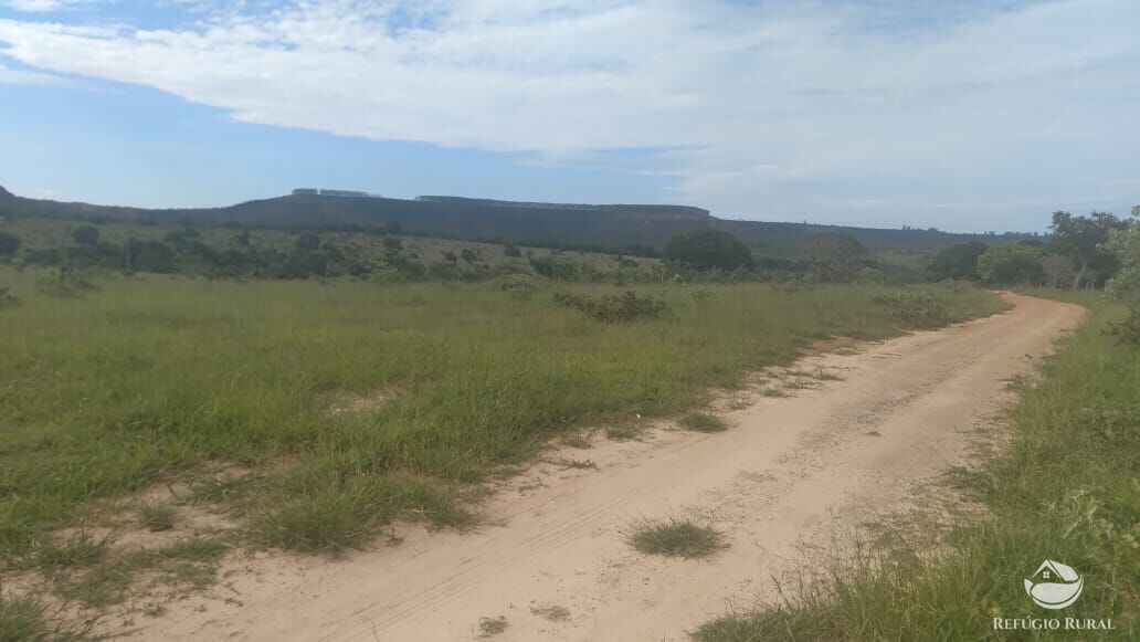 Fazenda à venda com 2 quartos, 32500000m² - Foto 10