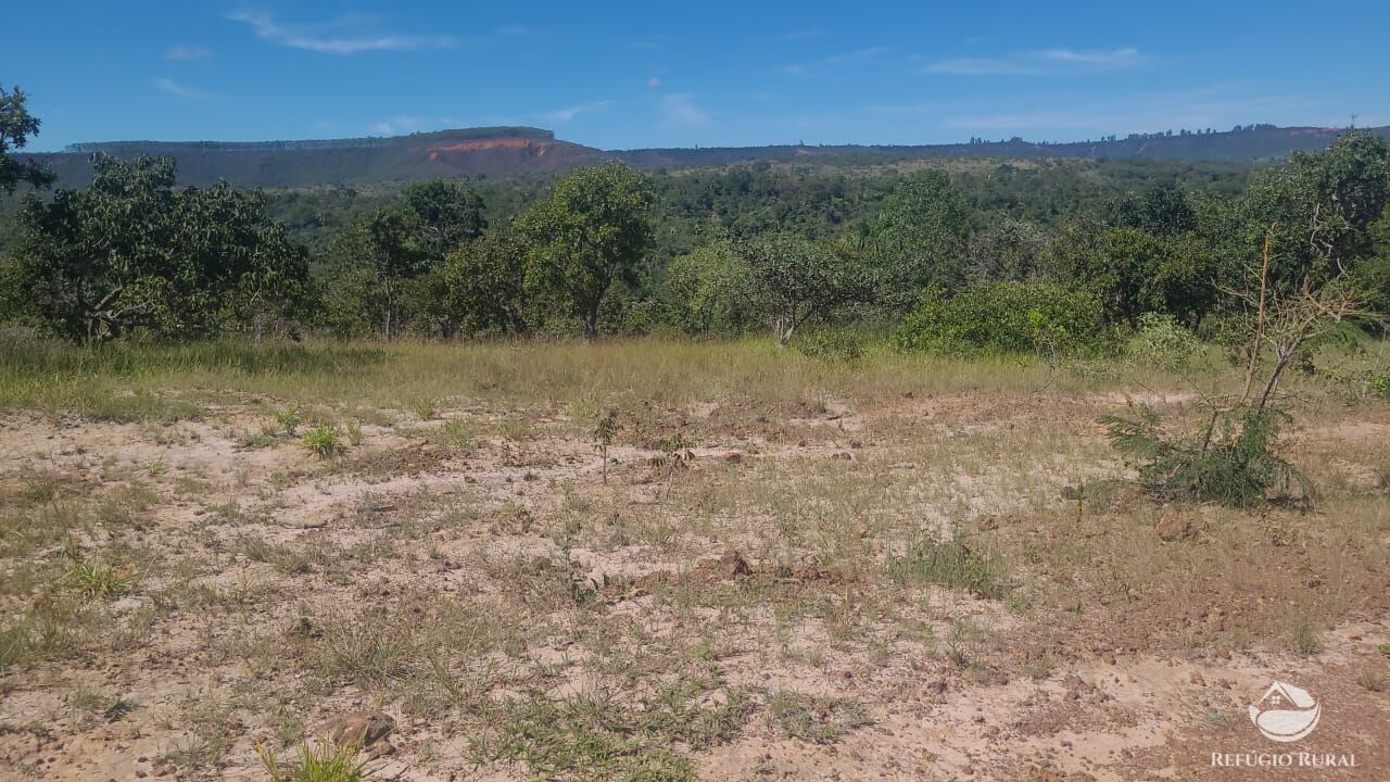 Fazenda à venda com 2 quartos, 32500000m² - Foto 15