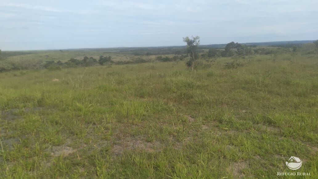 Fazenda à venda com 2 quartos, 32500000m² - Foto 6