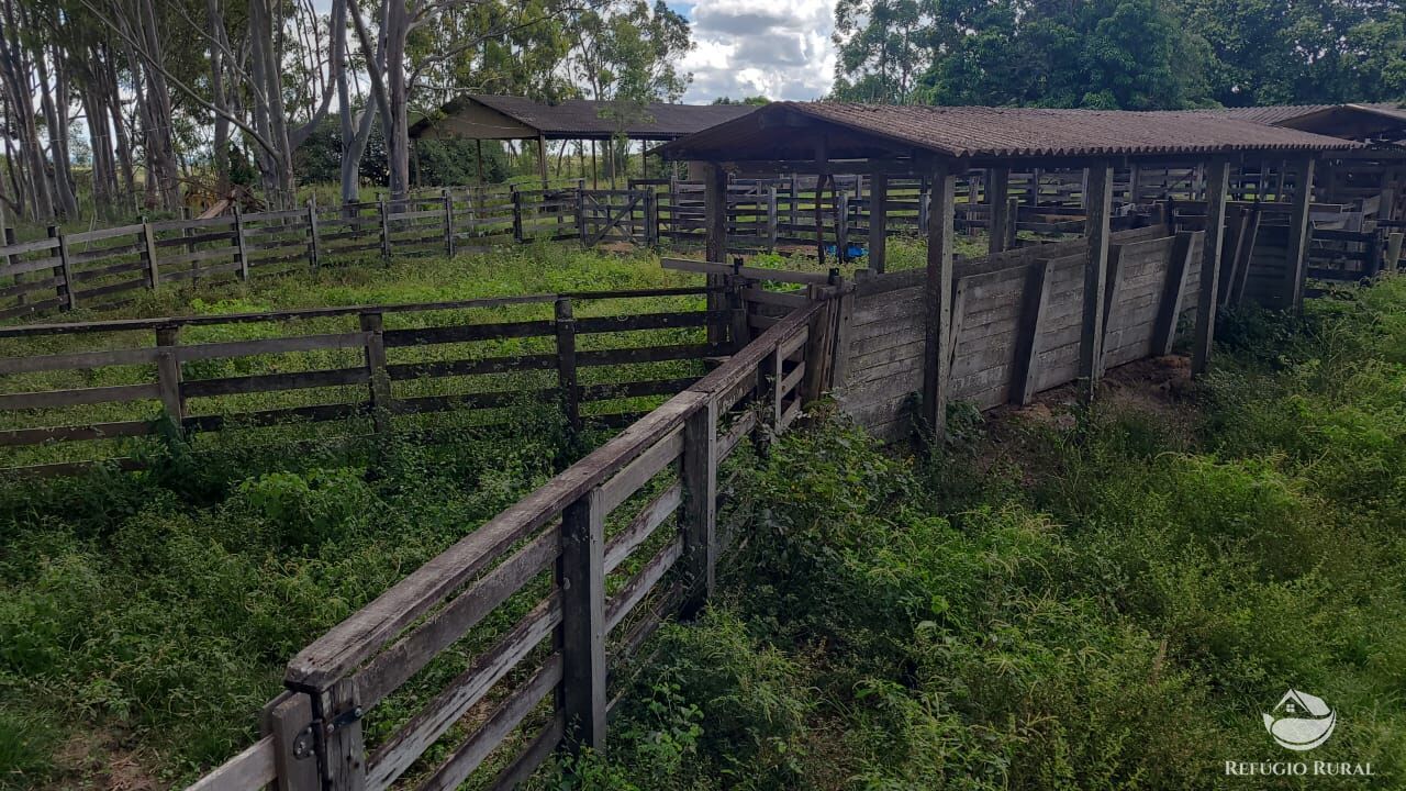 Fazenda à venda com 2 quartos, 32500000m² - Foto 38