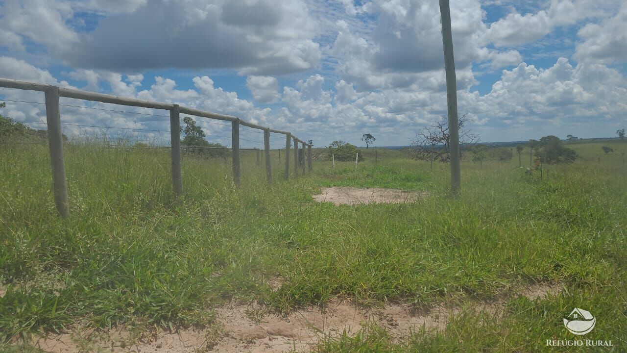 Fazenda à venda com 2 quartos, 32500000m² - Foto 39