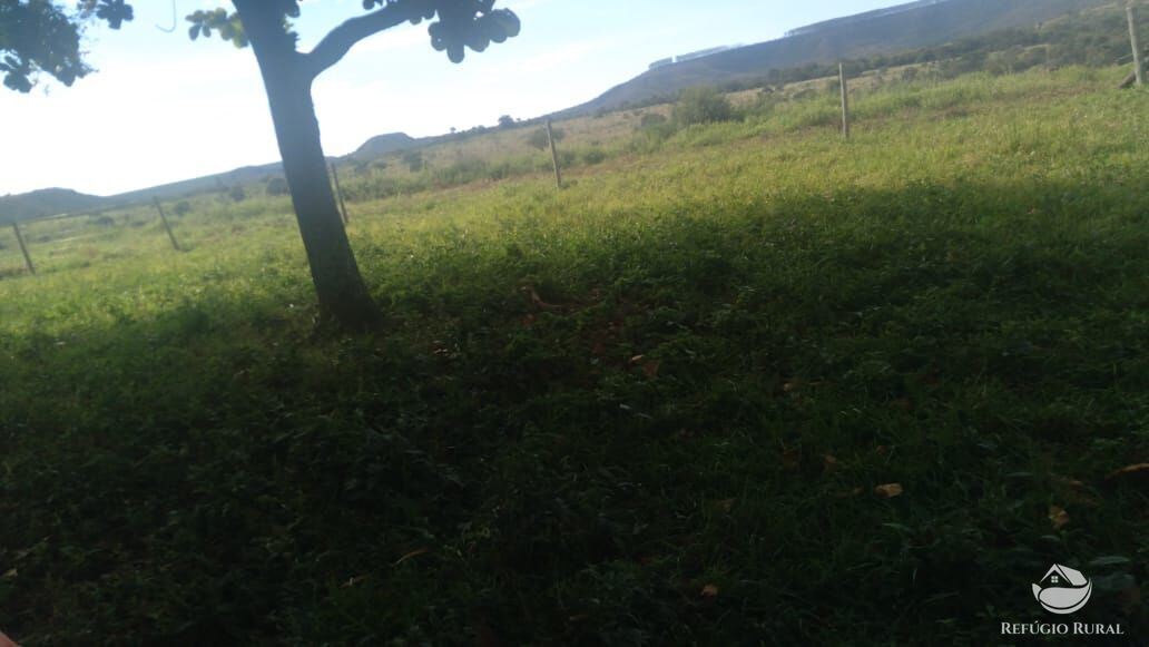 Fazenda à venda com 2 quartos, 32500000m² - Foto 11