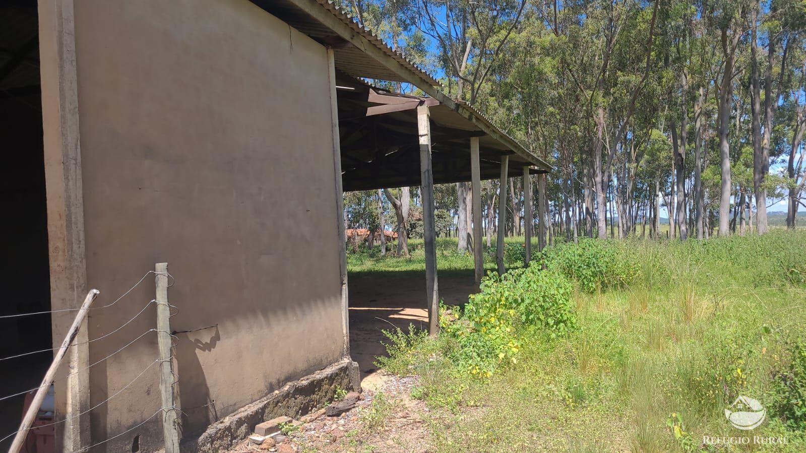 Fazenda à venda com 2 quartos, 32500000m² - Foto 26