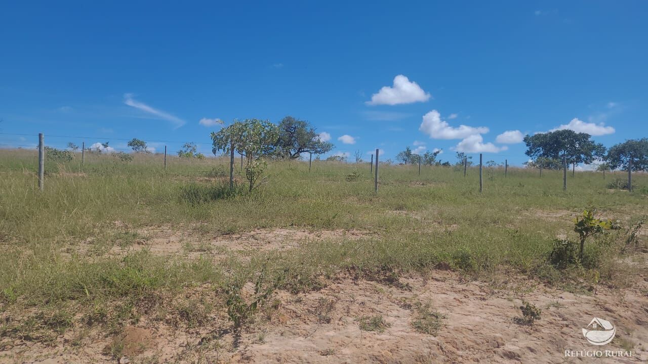 Fazenda à venda com 2 quartos, 32500000m² - Foto 19