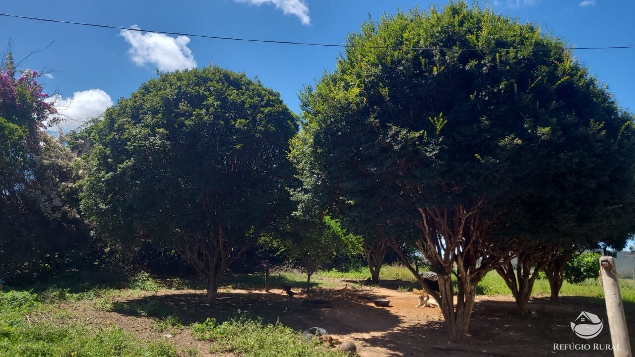 Fazenda à venda com 2 quartos, 32500000m² - Foto 30