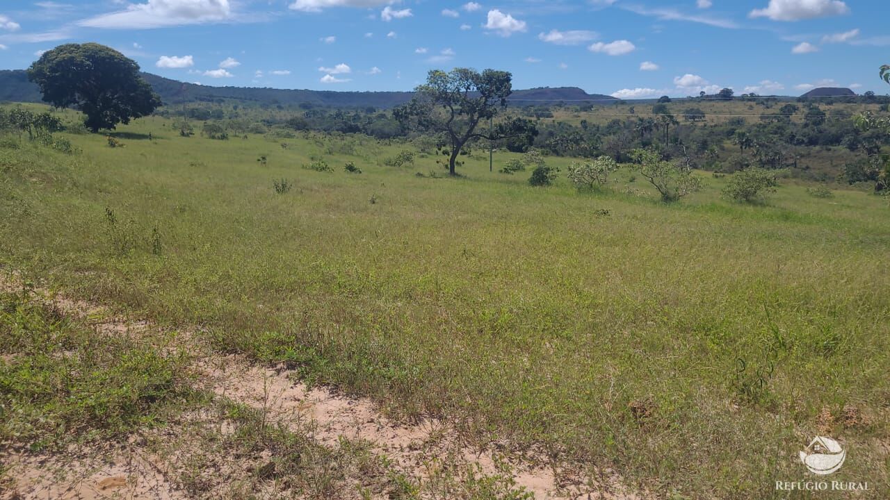 Fazenda à venda com 2 quartos, 32500000m² - Foto 22