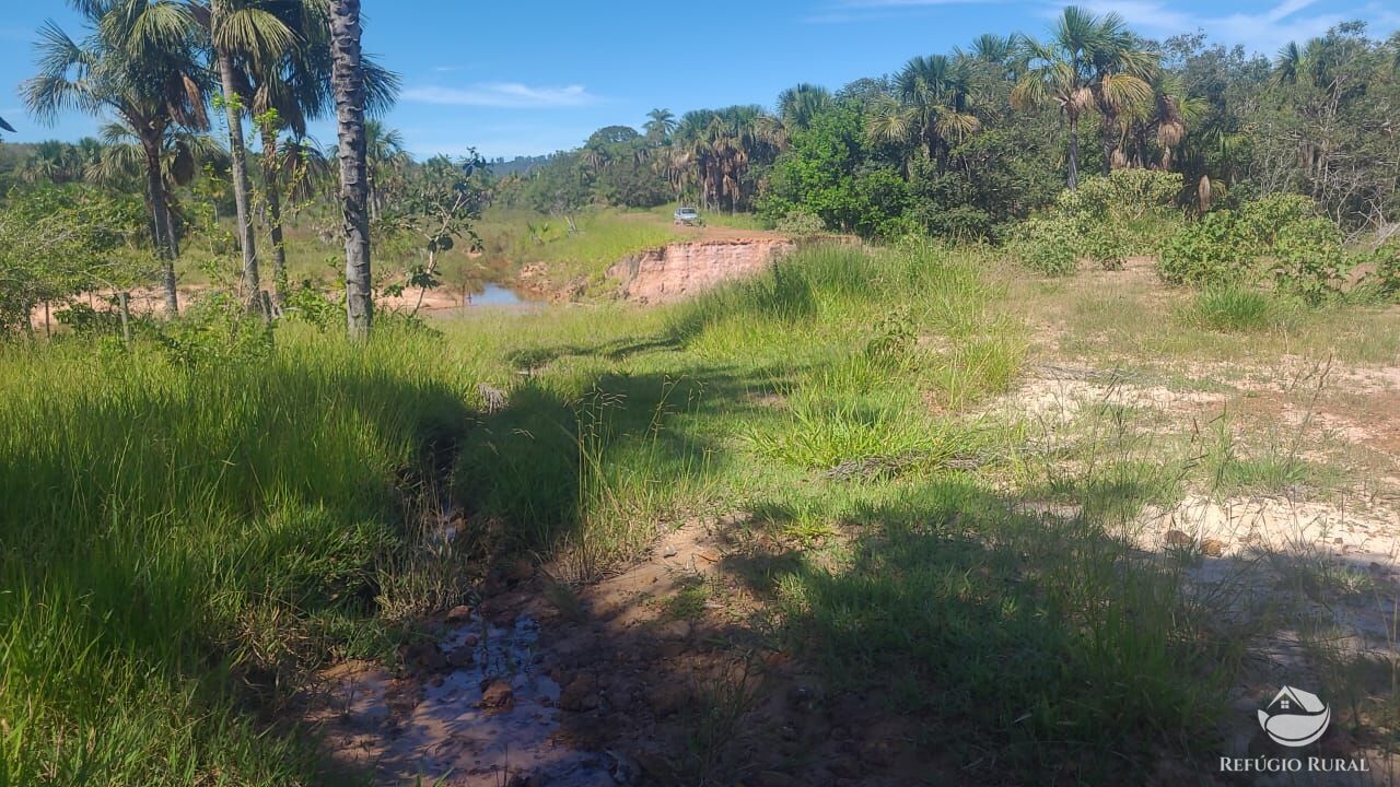 Fazenda à venda com 2 quartos, 32500000m² - Foto 14