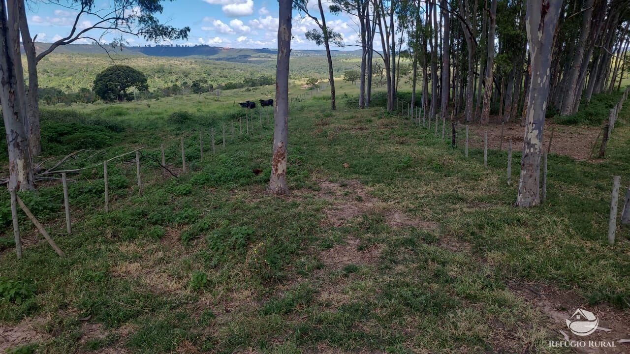 Fazenda à venda com 2 quartos, 32500000m² - Foto 35