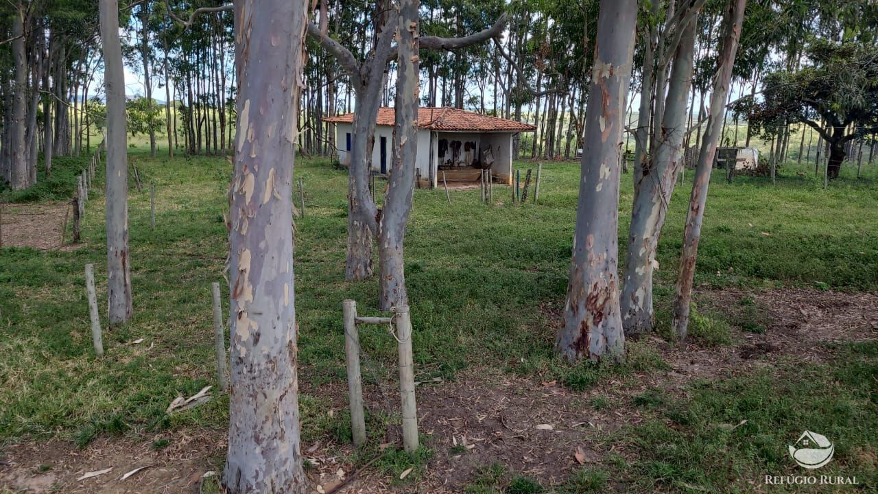 Fazenda à venda com 2 quartos, 32500000m² - Foto 36
