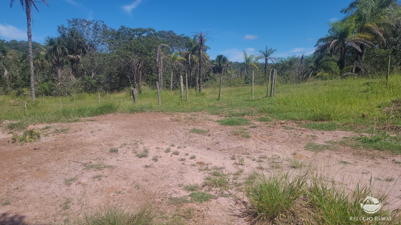 Fazenda à venda com 2 quartos, 32500000m² - Foto 13
