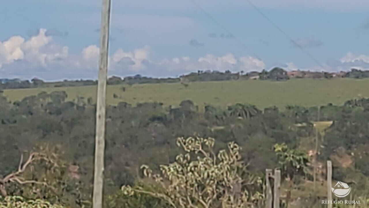 Fazenda à venda com 2 quartos, 32500000m² - Foto 17