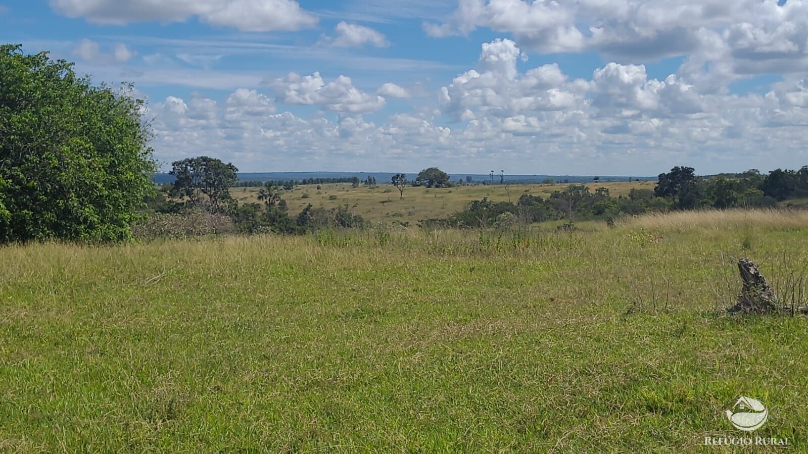 Fazenda à venda com 2 quartos, 32500000m² - Foto 33