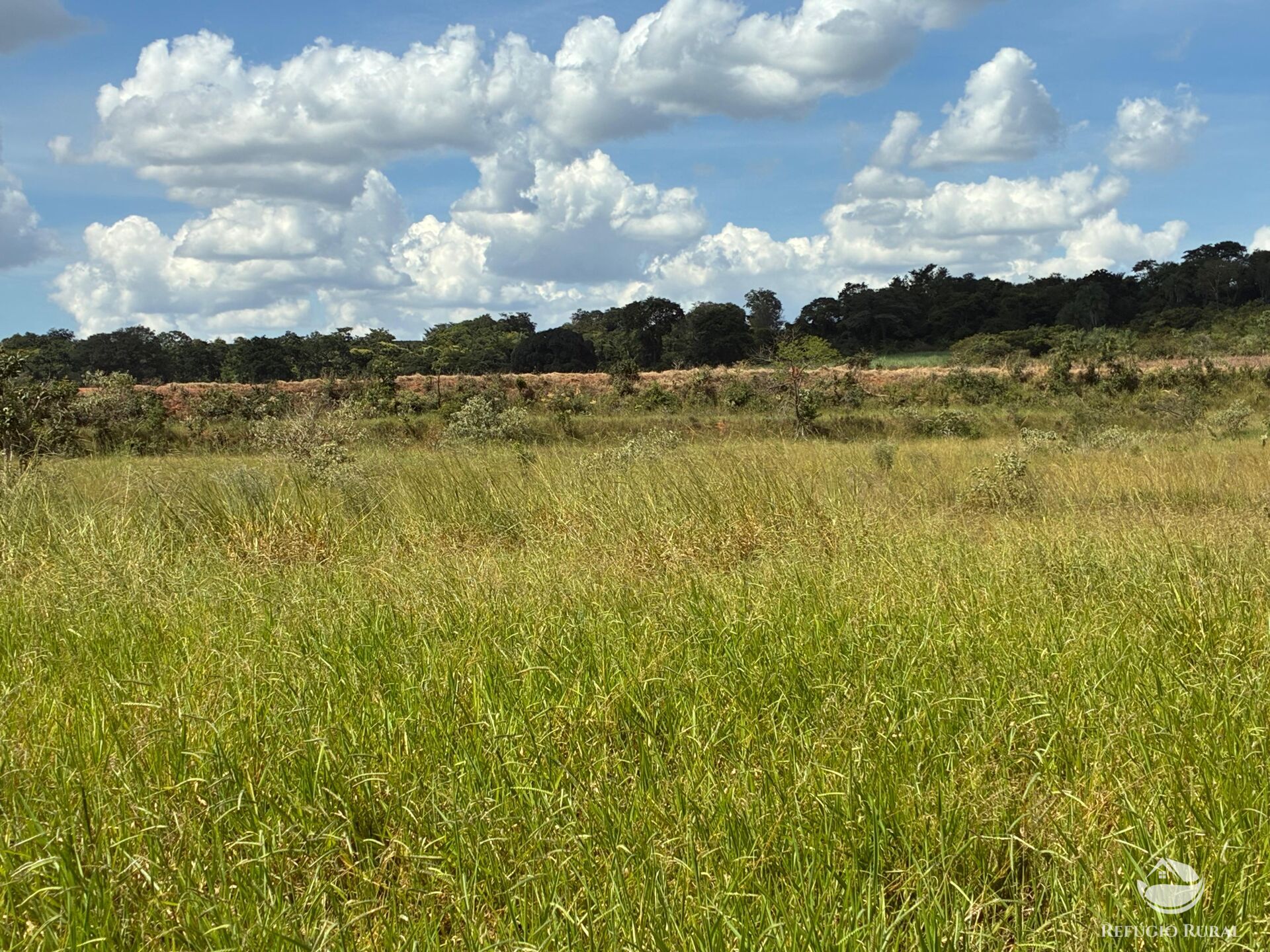 Terreno, 3 hectares - Foto 9
